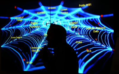 ¿Qué es un testigo experto?