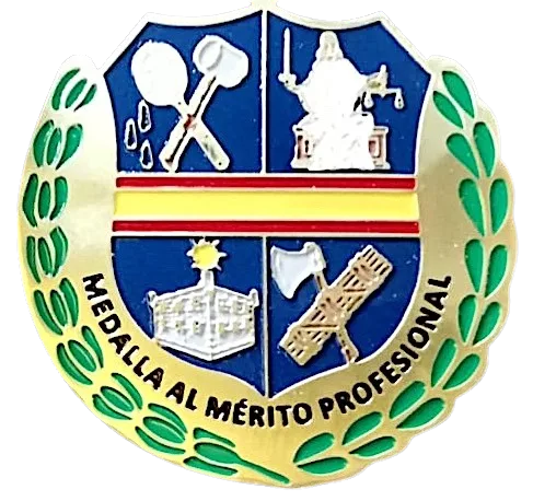 Medalla Mérito Profesional sin fondo medalla merito profesional